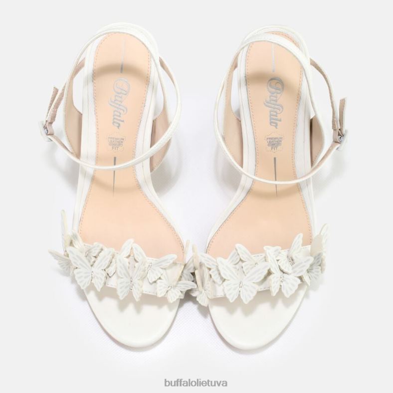 carla butterfly sandalai Buffalo dramblio kaulo4D4XB279 |sandalai